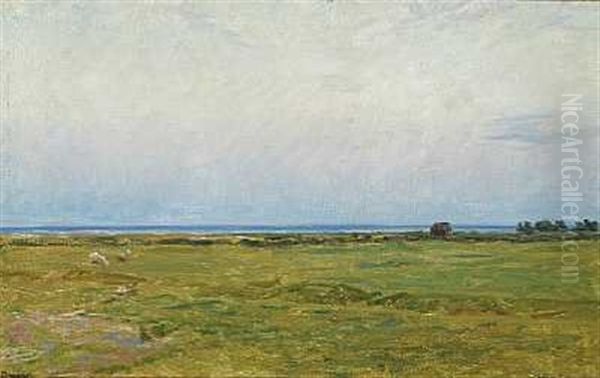 Fra Faelleden Syd For Dragor Med En Groft Og Graessende Faar - view 1