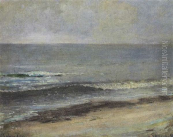 Strandparti - Skagen - view 1