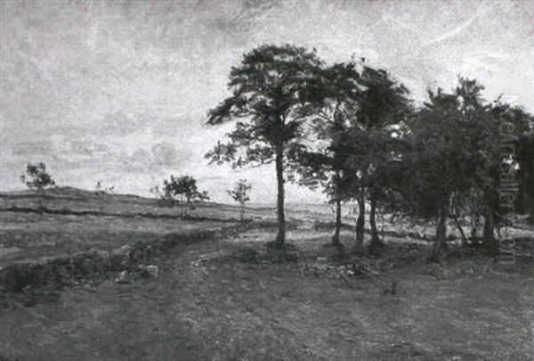 Svensk Landskab Med Stengaerde Ved Kysten - view 1