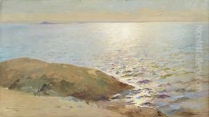 Marin - Solglitter Over Havet