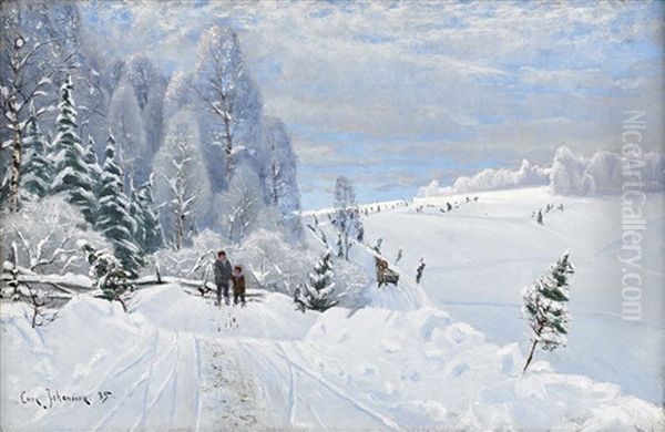 Vinterlandskap - view 1