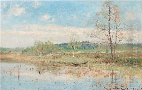 Varlandskap - view 1