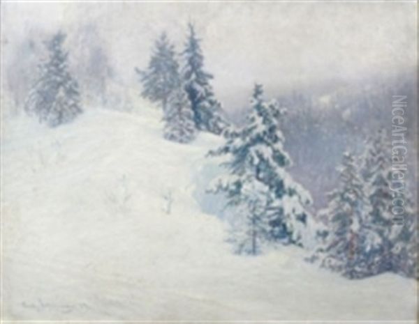 Vinterlandskap Med Granskog - view 1