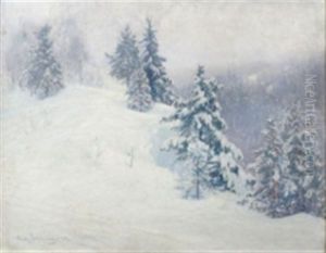 Vinterlandskap Med Granskog Vinterlandskap Med Granskog