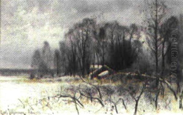 Kustlandskap I Vinterskrud - view 1