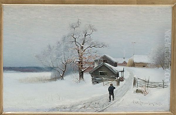 Promenad I Vinterlandskap - view 1