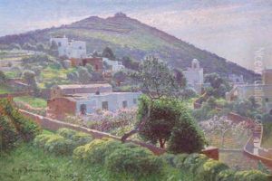 Motiv Fran Capri by Carl (August) Johansson