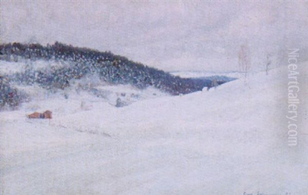 Vinterlandskap Fran Norrland - view 1