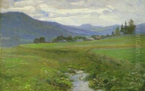 Norrlandsk Sommarvy