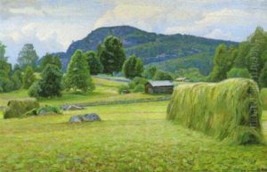 Sommarlandskap by Carl (August) Johansson