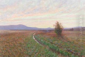 Hedlandskap Med Vattendrag by Carl (August) Johansson