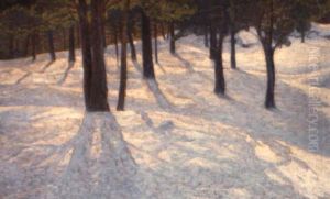 Tallar I Vintersol Tallar I Vintersol