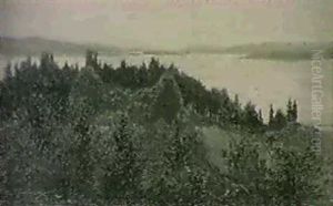 Utsikt Over Norrlandskt Sjolandskap -                       I Forgrunden Barrskog
