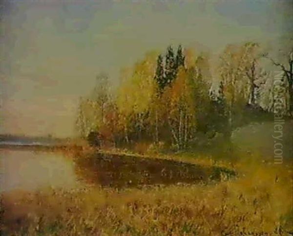 Varlandskap - view 1