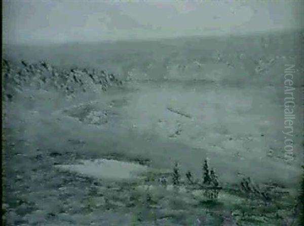 Forsen - Sommarlandskap - view 1