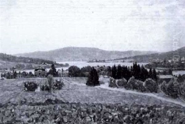 Vy Over Angermanland - view 1