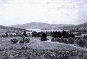 Vy Over Angermanland by Carl (August) Johansson