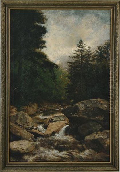Rocky Creek - view 1