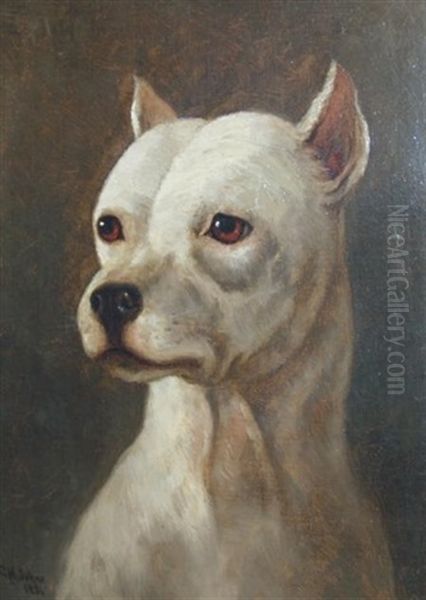 Portrait Of A Bull Terrier - view 1