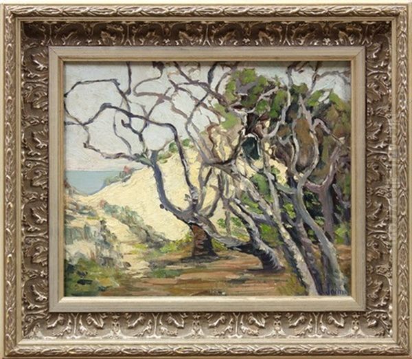 View Of The Ocean Through Dunes - view 1