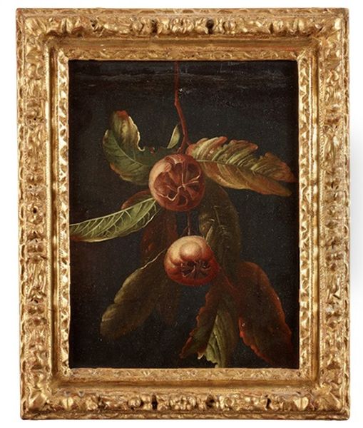 Mispelkvist Med Frukter (branch With Medlar Fruits) - view 1