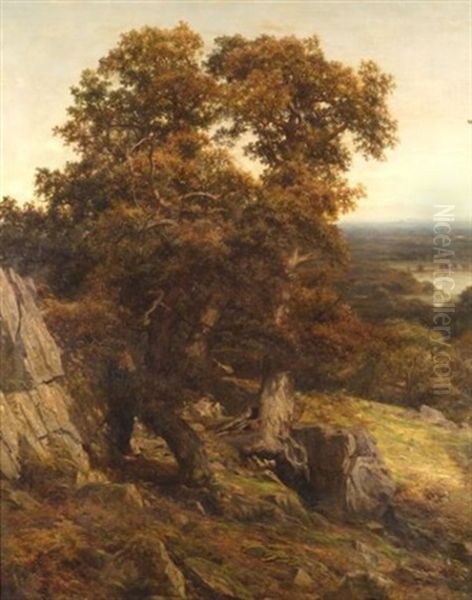 Woodland And Stream - view 1