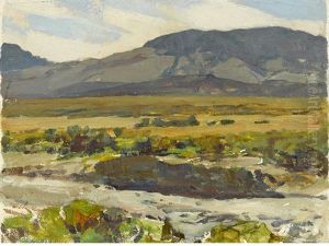 Desert Study