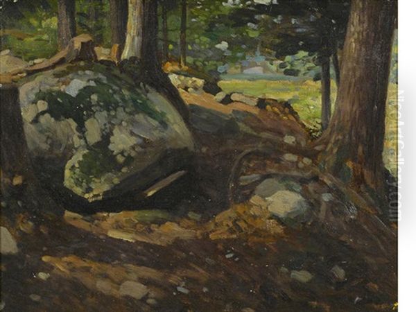Landscape With Moss Covered Rocks, Yellowstone, Wyoming - view 1