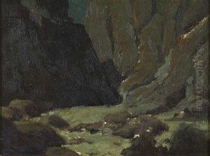 Canyon Study by Frank Johnson