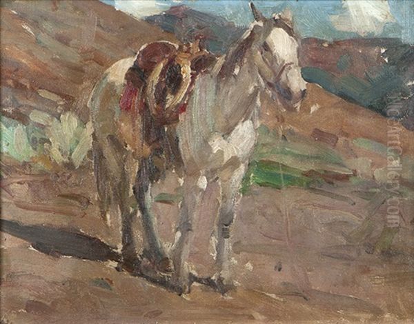 Peaches, Mrs. Johnson's Horse - view 1