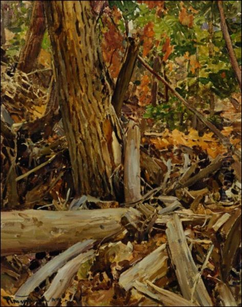 Wind Blown Forest - view 1