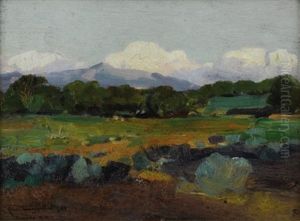 New Mexico Landscape by Frank Johnson