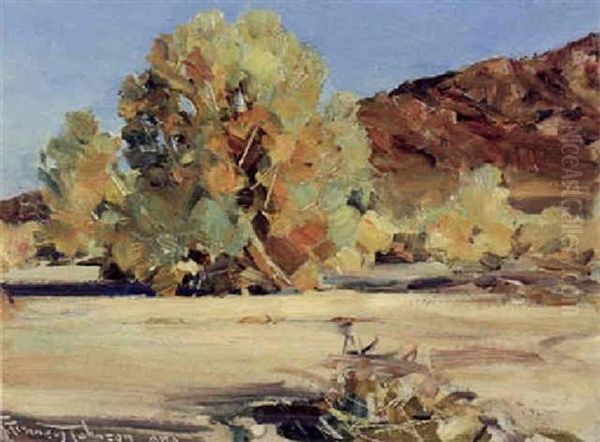 Smoke Tree - view 1