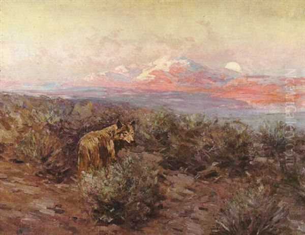 Coyote Moonrise #4 - view 1