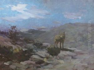 Coyote Nocturne by Frank Johnson