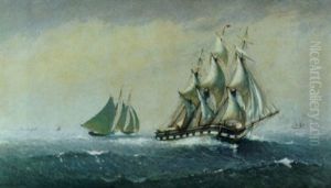 Clipper Ship "marco Polo" Entering The Bay Of Fundy thumbnail