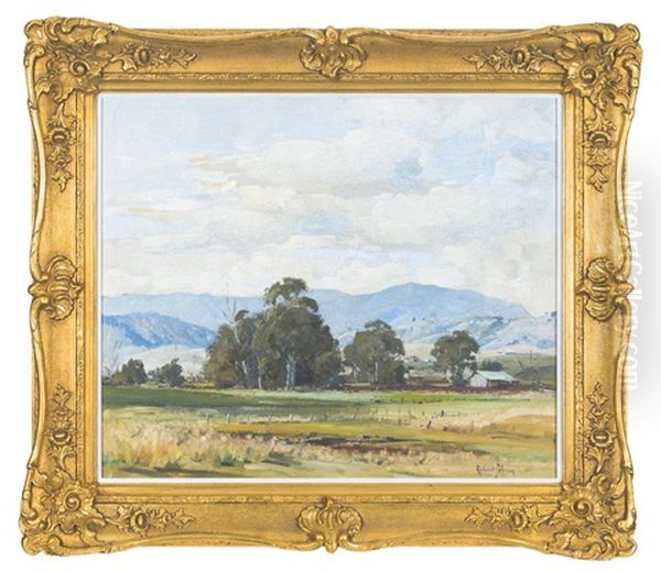Border Range Kyogle - view 1