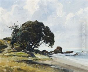 Pohutukawa Tree, New Zealand by Robert Johnson