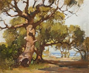 Gum Tree At Palm Beach by Robert Johnson