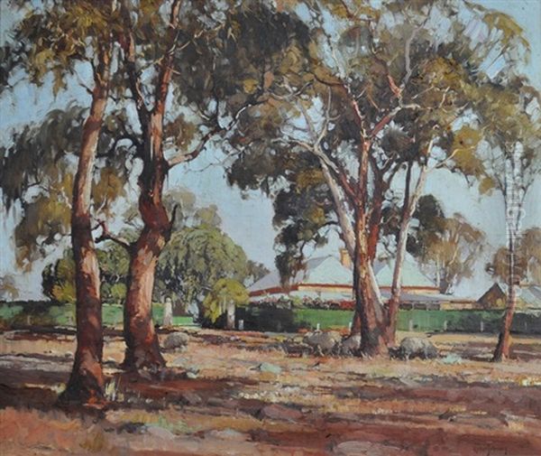 Sheep, Gums & Homestead - view 1