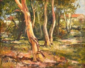 Linfield Gums by Robert Johnson
