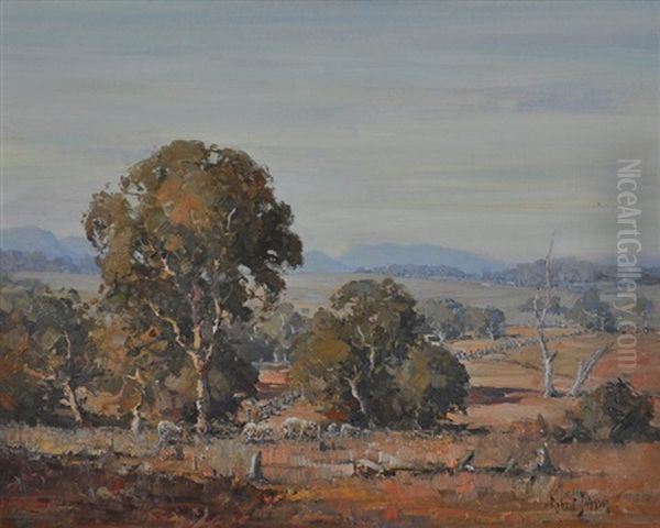 Canowindra Landscape - view 1