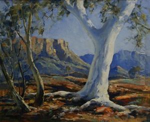 Ghost Gums, Central Australia, Mt Gillen