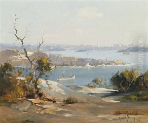 Sydney Harbor From North Head