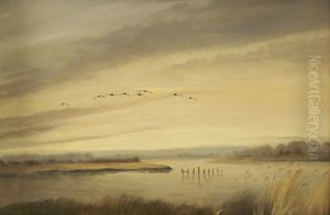 Ducks Flighting In The Wexford Slobs by Robert Johnson