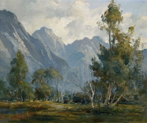 Frankland Range, Tasmania - view 1