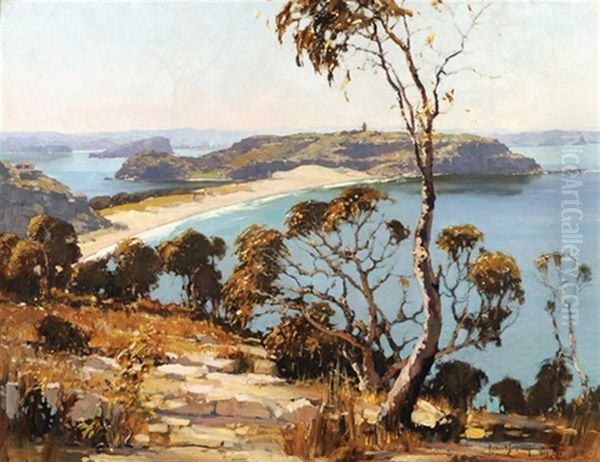 Palm Beach To Barrenjoey, Nsw - view 1