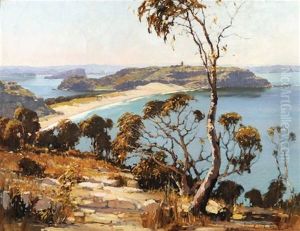Palm Beach To Barrenjoey, Nsw