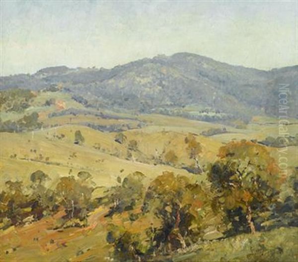 Australian Landscape - view 1