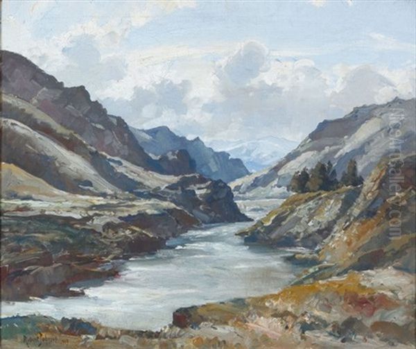 Cromwell Valley, Otago - view 1